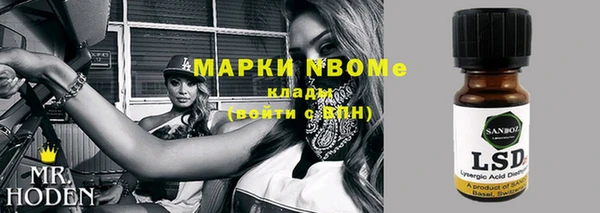 индика Бородино