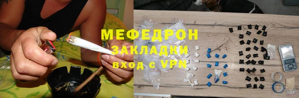 индика Бородино