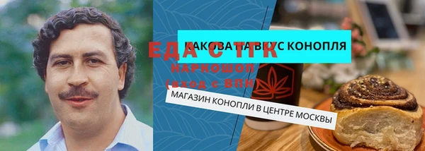 индика Бородино