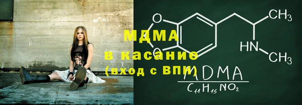 индика Бородино