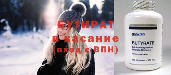 индика Бородино