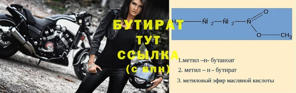 индика Бородино
