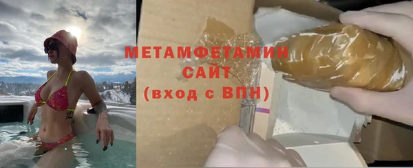 индика Бородино