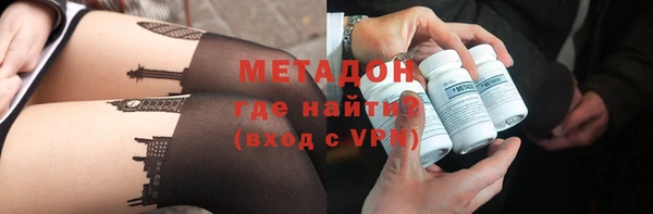 индика Бородино