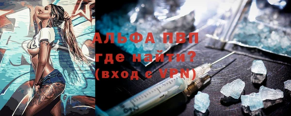 индика Бородино