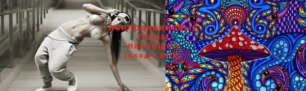 индика Бородино