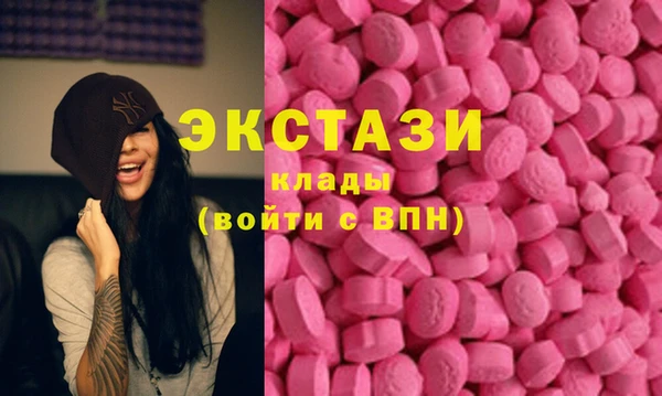 индика Бородино