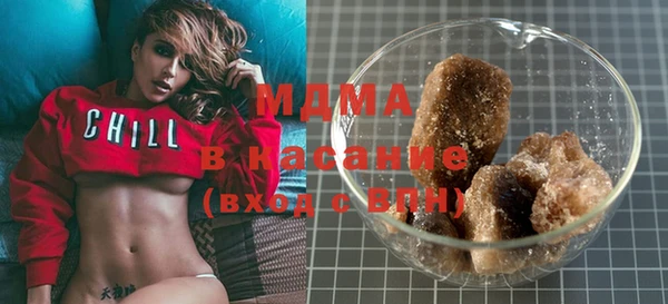 индика Бородино