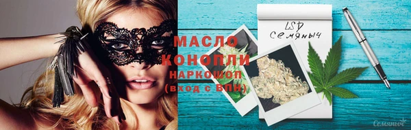 индика Бородино
