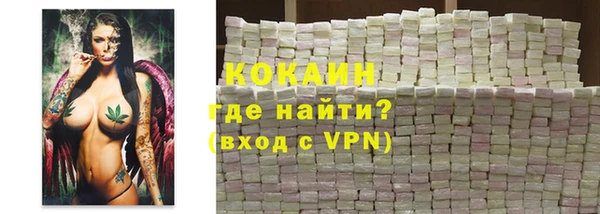 индика Бородино